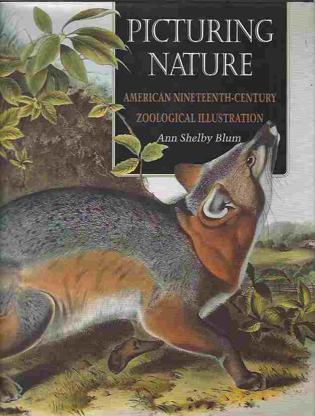 Image for Picturing Nature American Nineteenth-Century Zoological Illustration