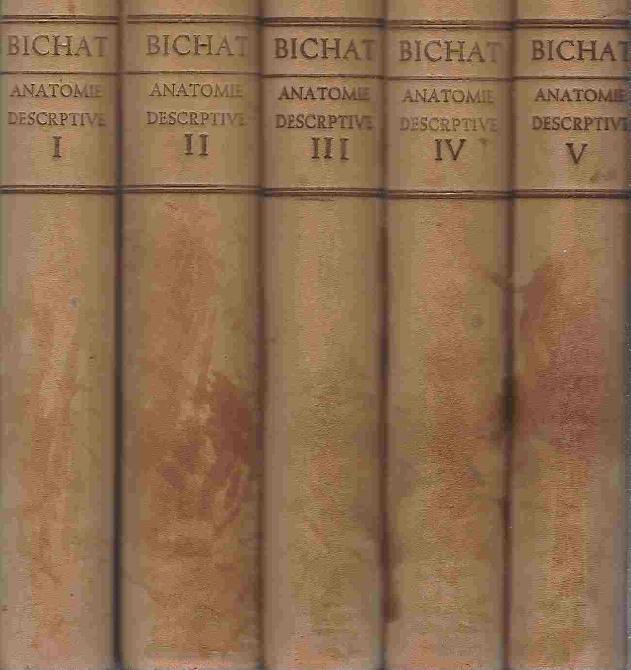 Image for Traite d'Anatomie Descriptive. In five volumes