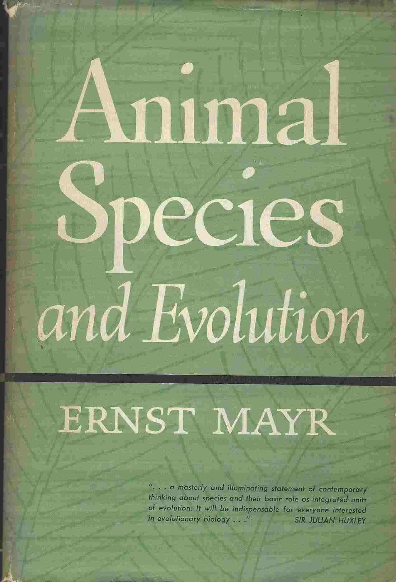 Image for Animal Species and Evolution by Ernst Mayr