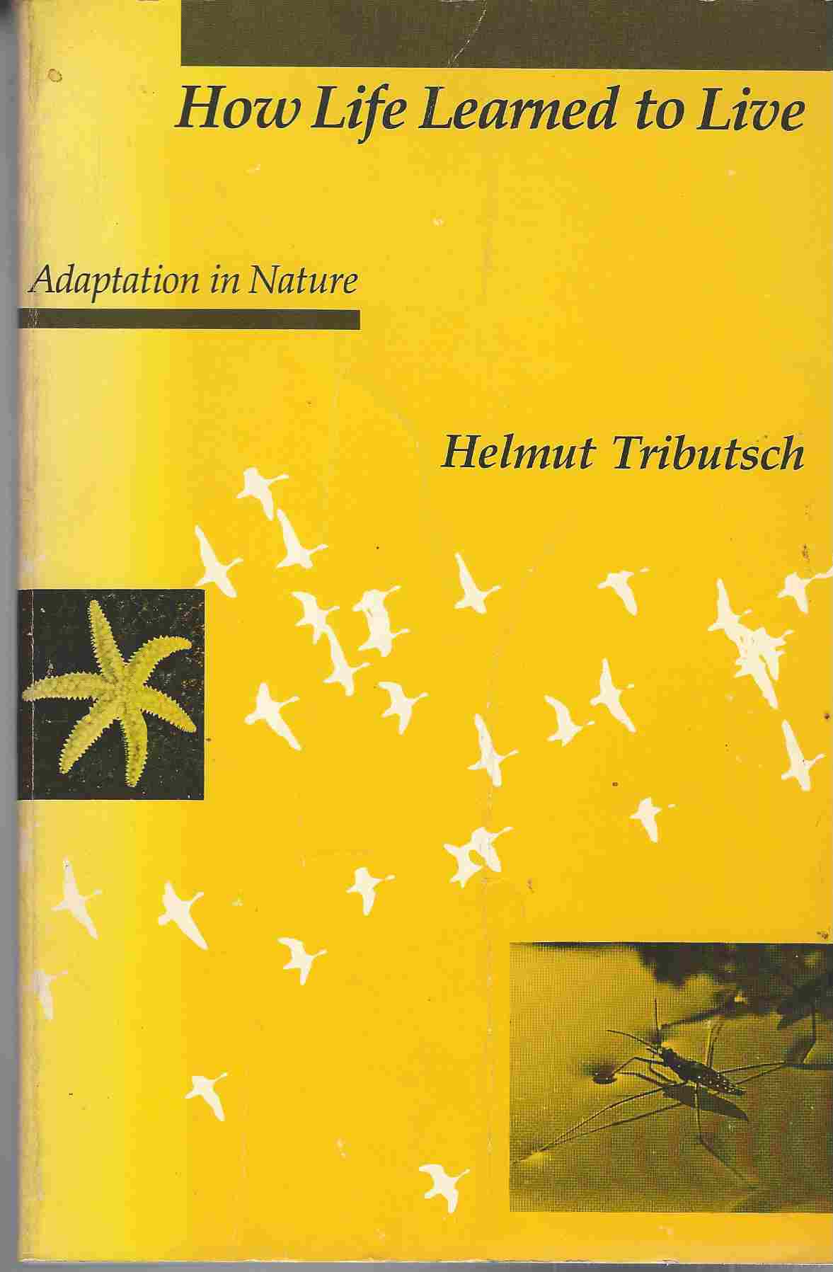 Image for How Life Learned to Live Adaptation in Nature