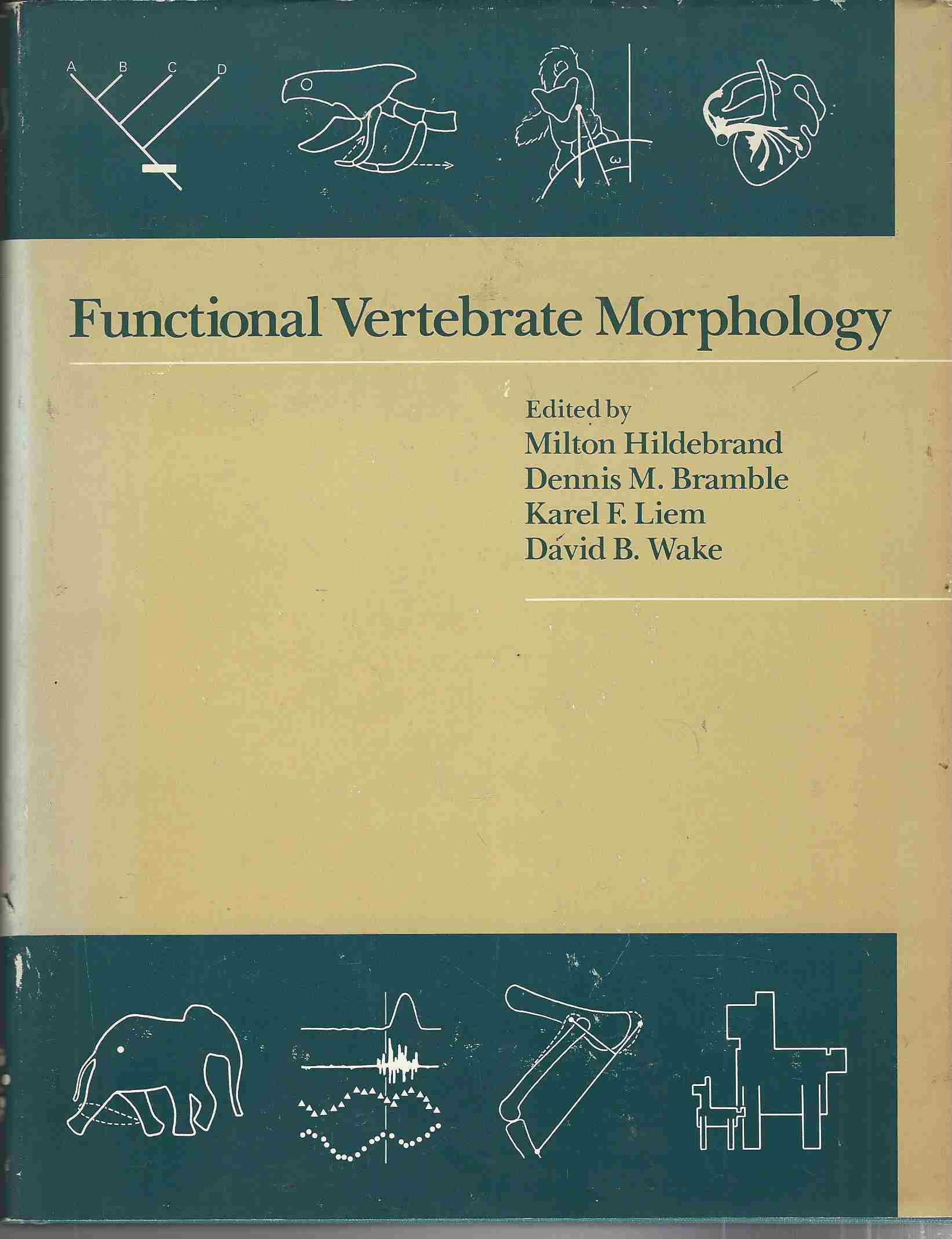 Image for Functional Vertebrate Morphology
