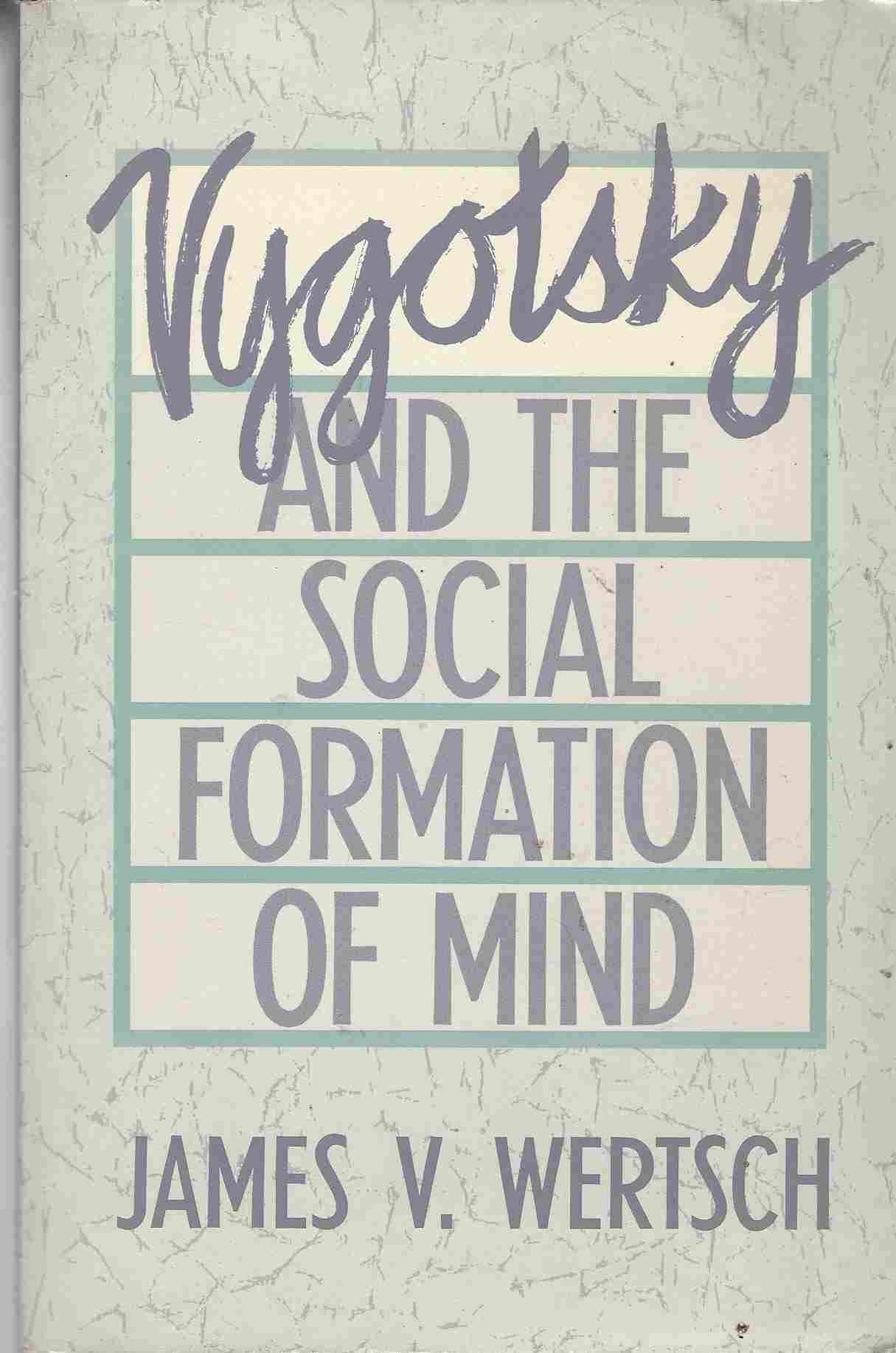 Image for Vygotsky and the Social Formation of Mind