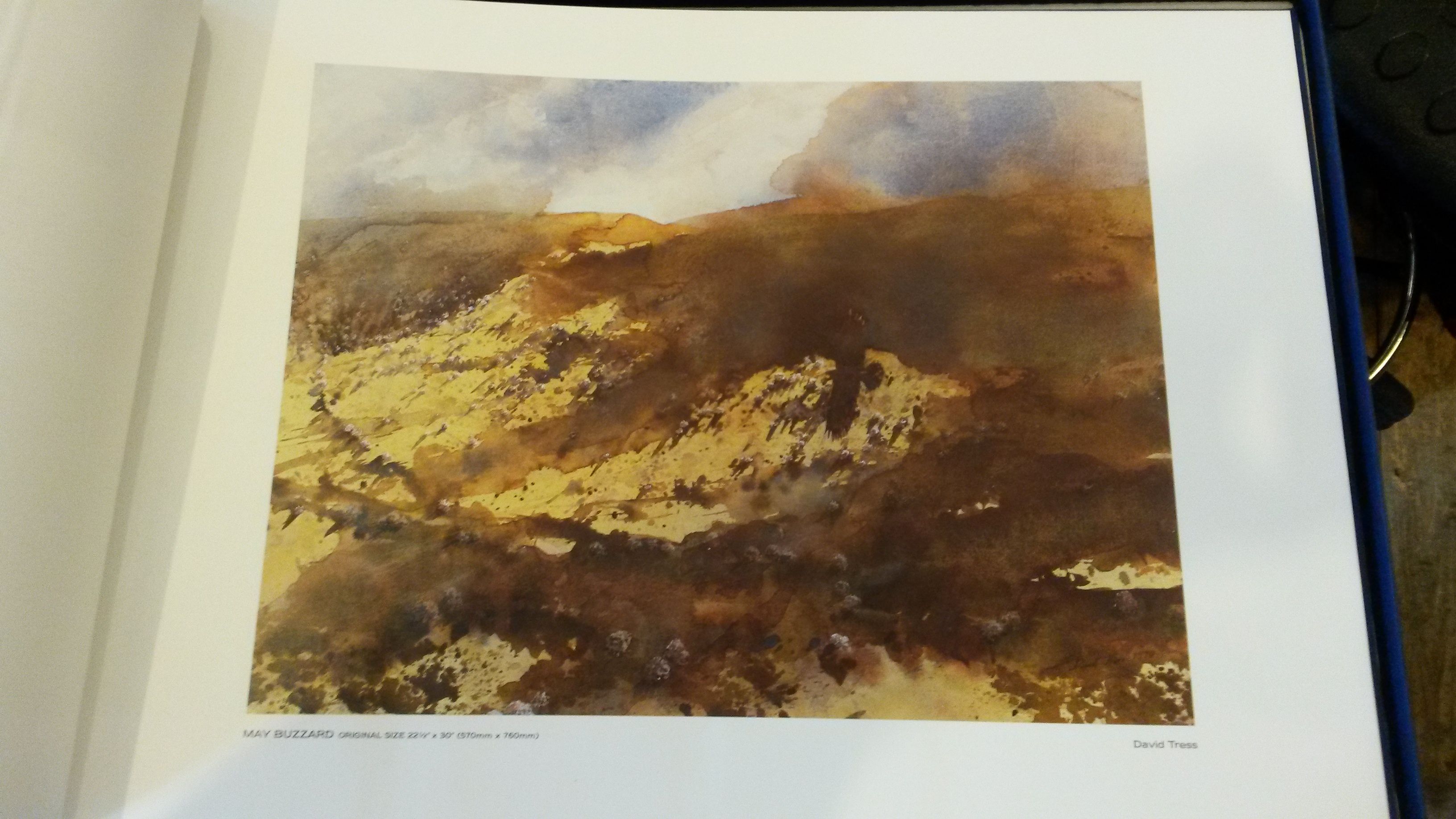 Image for Rural Wales Artists Portfolio