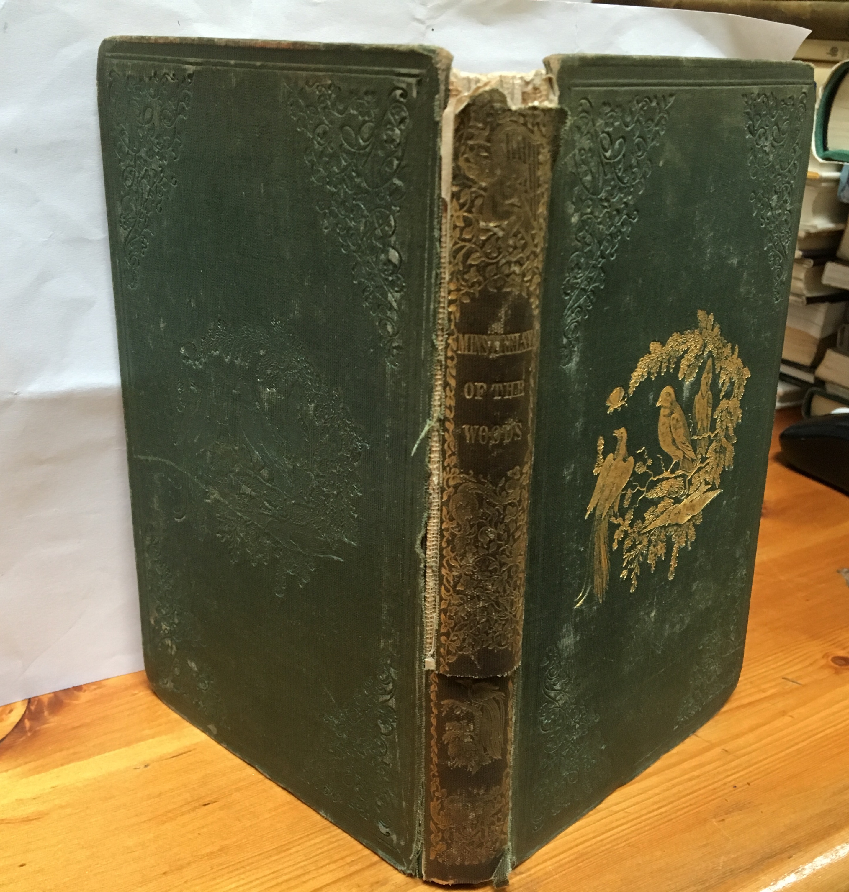 The Minstrelsy of the Woods; Or, Sketches and Songs Connected with the Natural History of Some of the Most Interesting British and Foreign Birds Image for The Minstrelsy of the Woods; Or, Sketches and Songs Connected with the Natural History of Some of the Most Interesting British and Foreign Birds