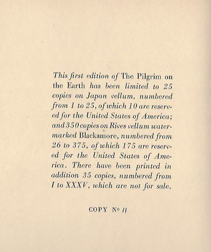 Image for The Pilgrim on the Earth