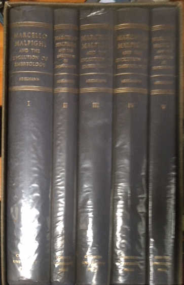 Image for Marcello Malpighi and the Evolution of Embryology