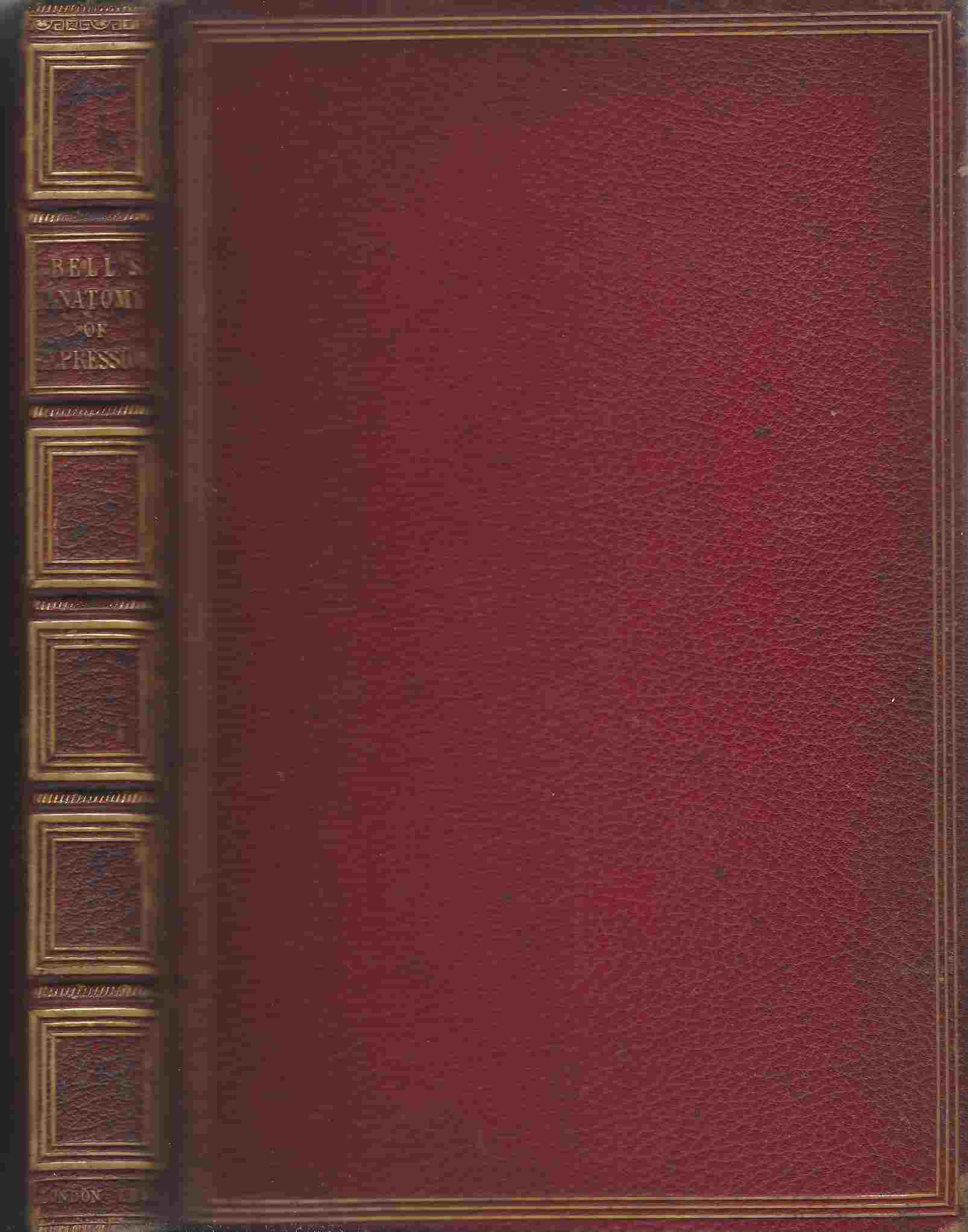 Image for The Anatomy And Philosophy Of Expression As Connected With The Fine Arts