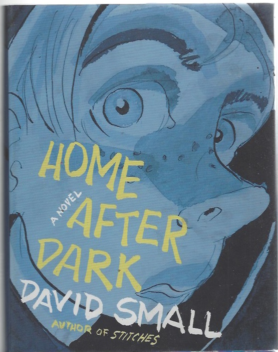 Image for Home after Dark A Novel