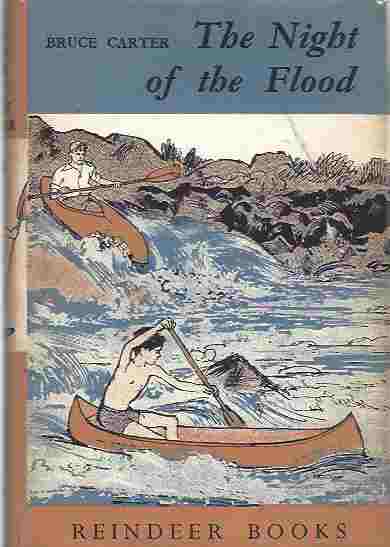 The Night of the Flood ... Illustrated by Prudence Seward Image for The Night of the Flood ... Illustrated by Prudence Seward