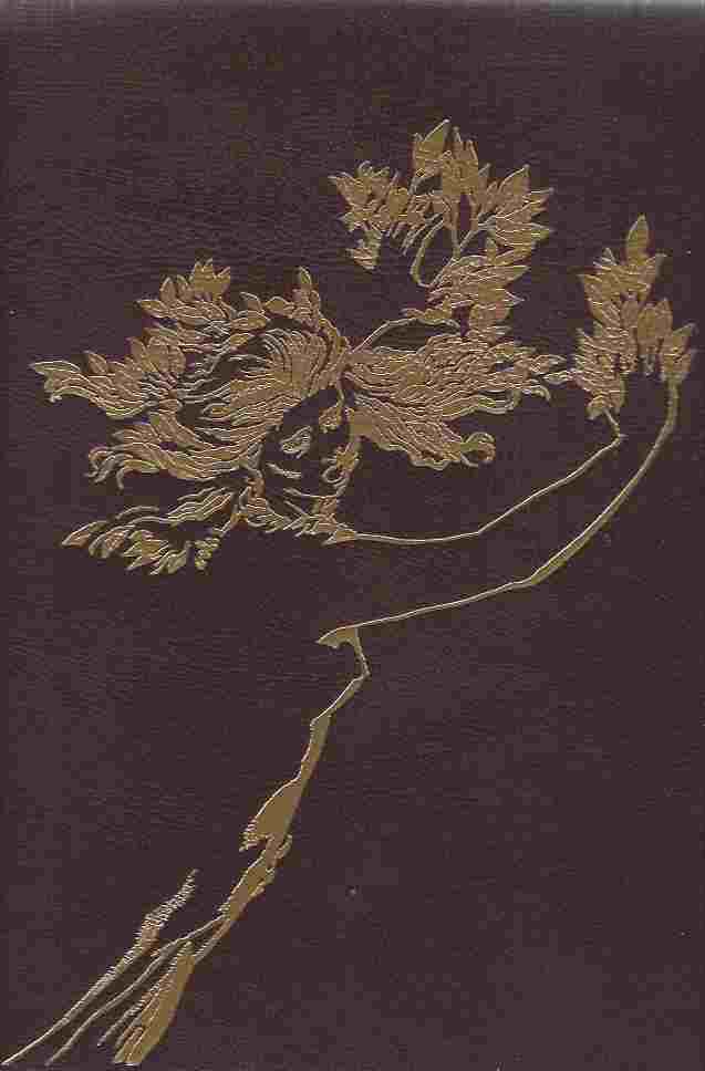 Image for Metamorphoses
