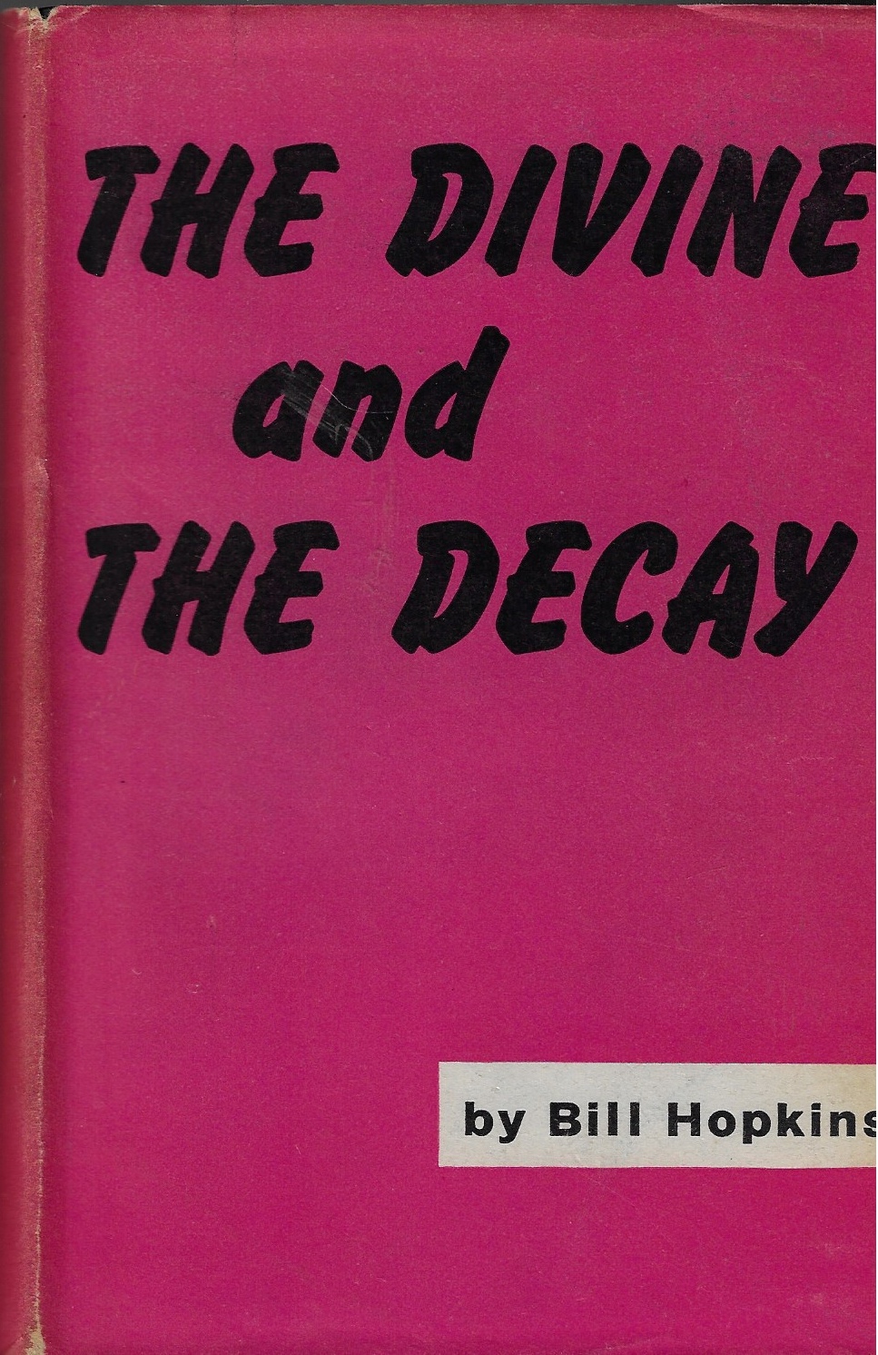 Image for The Divine and the Decay