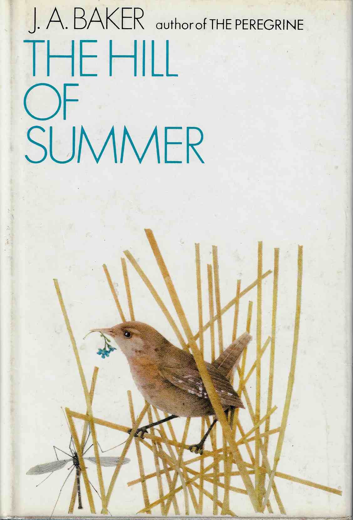Image for The Hill of Summer
